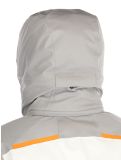 Miniatura Spyder, Leader chaqueta de esquí hombres Concrete blanco, gris 