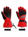 Miniatura Spyder, Overweb GTX guantes de esquí hombres Spyder Red rojo 