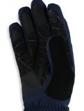 Miniatura Spyder, Overweb GTX guantes de esquí hombres True Navy azul 