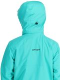 Miniatura Spyder, Tripoint chaqueta de esquí hombres Teal Green verde 