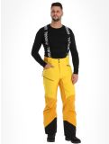 Miniatura Tenson, Aerismo pantalones de esquí hombres Spectra yellow amarillo 