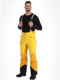 Miniatura Tenson, Aerismo pantalones de esquí hombres Spectra yellow amarillo 