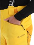 Miniatura Tenson, Aerismo pantalones de esquí hombres Spectra yellow amarillo 