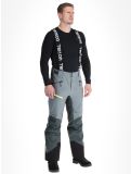 Miniatura Tenson, Aerismo Ski pantalones de esquí hombres Grey Green gris 