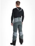 Miniatura Tenson, Aerismo Ski pantalones de esquí hombres Grey Green gris 