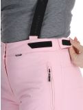 Miniatura Whistler, Drizzle pantalones de esquí mujeres Orchid Pink rosa 