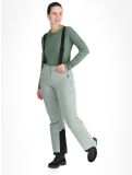 Miniatura Whistler, Drizzle pantalones de esquí mujeres Slate Gray gris 