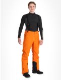 Miniatura Whistler, Drizzle pantalones de esquí hombres Autumn Maple naranja 