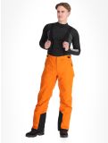 Miniatura Whistler, Drizzle pantalones de esquí hombres Autumn Maple naranja 