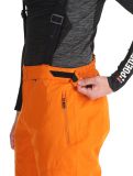 Miniatura Whistler, Drizzle pantalones de esquí hombres Autumn Maple naranja 