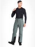 Miniatura Whistler, Drizzle pantalones de esquí hombres Balsam Green verde 