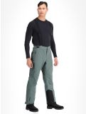 Miniatura Whistler, Drizzle pantalones de esquí hombres Balsam Green verde 