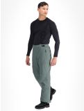 Miniatura Whistler, Drizzle pantalones de esquí hombres Balsam Green verde 