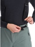 Miniatura Whistler, Drizzle pantalones de esquí hombres Balsam Green verde 