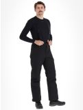 Miniatura Whistler, Drizzle pantalones de esquí hombres Black negro 