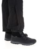 Miniatura Whistler, Drizzle pantalones de esquí hombres Black negro 