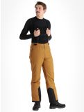 Miniatura Whistler, Drizzle pantalones de esquí hombres Rubber marrón 