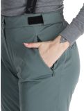 Miniatura Whistler, Yarra pantalones de esquí mujeres Balsam Green verde 