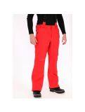 Miniatura Dare2b, Certify, pantalón de esquí, hombres, rojo 