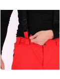 Miniatura Dare2b, Certify, pantalón de esquí, hombres, rojo 