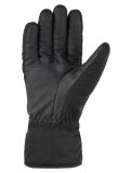 Miniatura Cairn, Lugano M C-Tex Pro guantes de esquí hombres Black Sanguine negro 