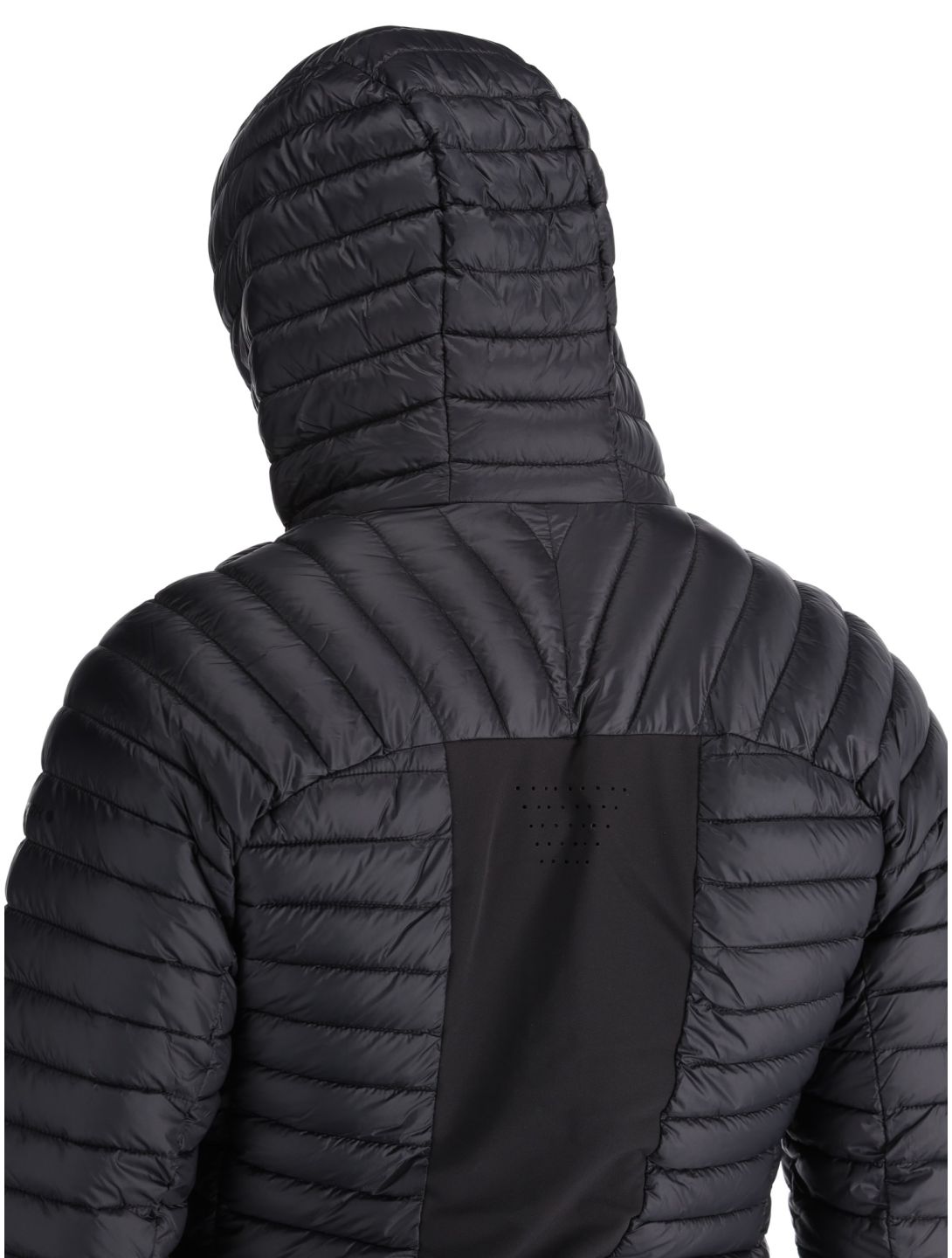 Icepeak, Dillon chaqueta de plumas hombres Black negro 