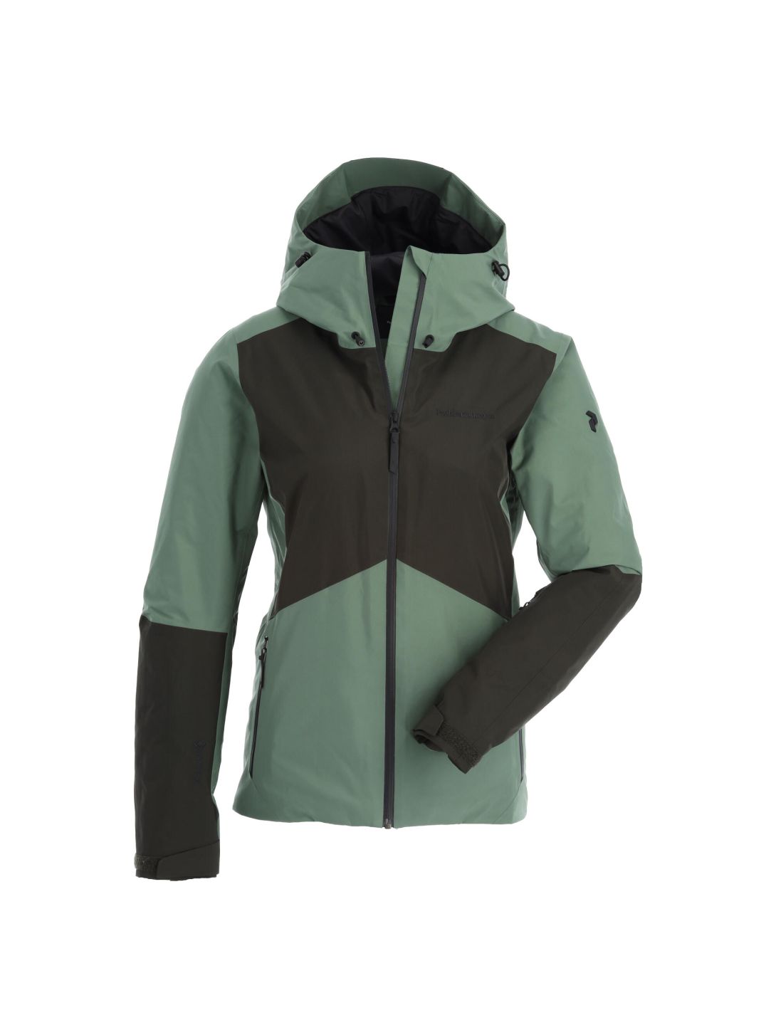 Peak Performance, Anima Gtx chaqueta de esquí mujeres fells view verde