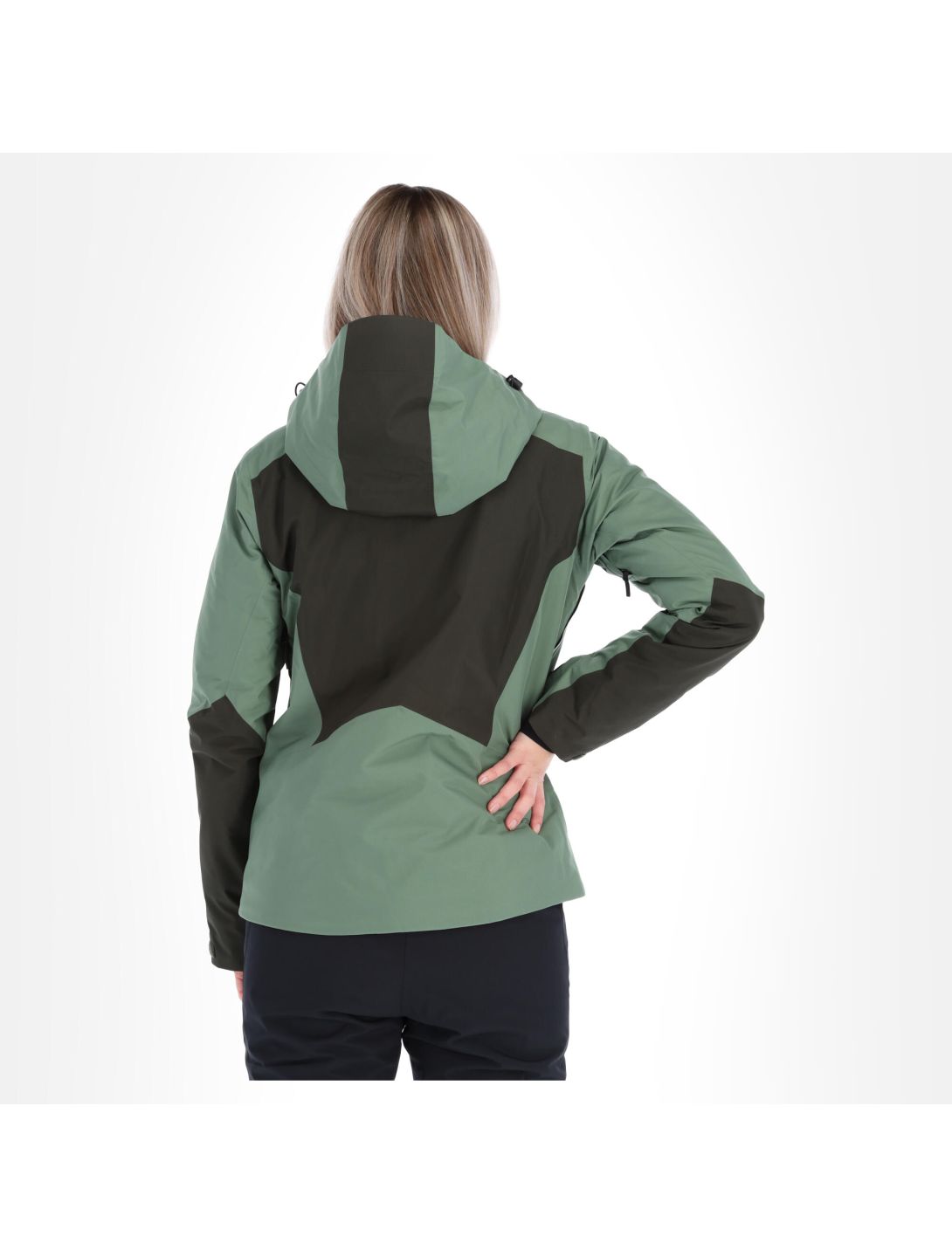 Peak Performance, Anima Gtx chaqueta de esquí mujeres fells view verde