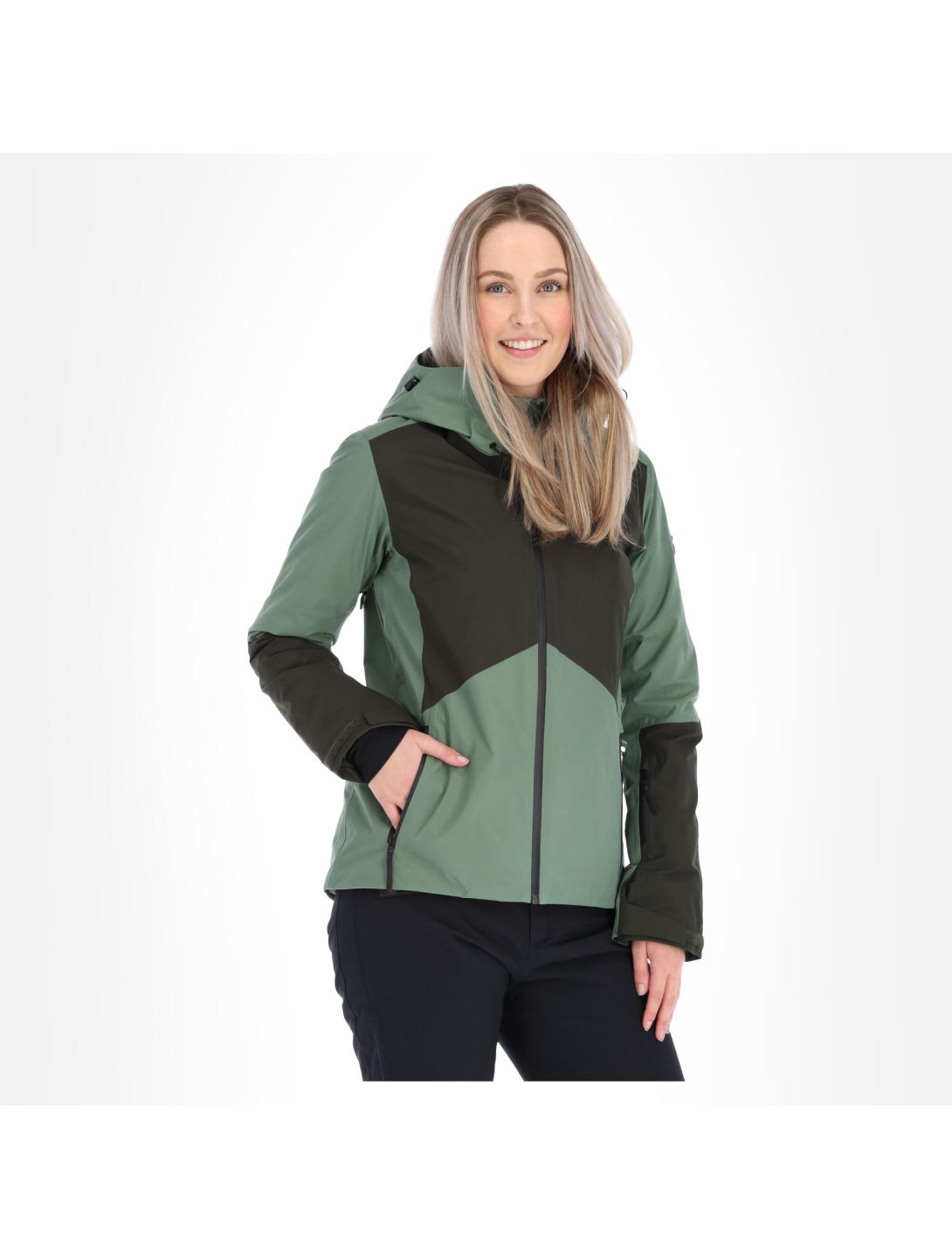 Peak Performance, Anima Gtx chaqueta de esquí mujeres fells view verde