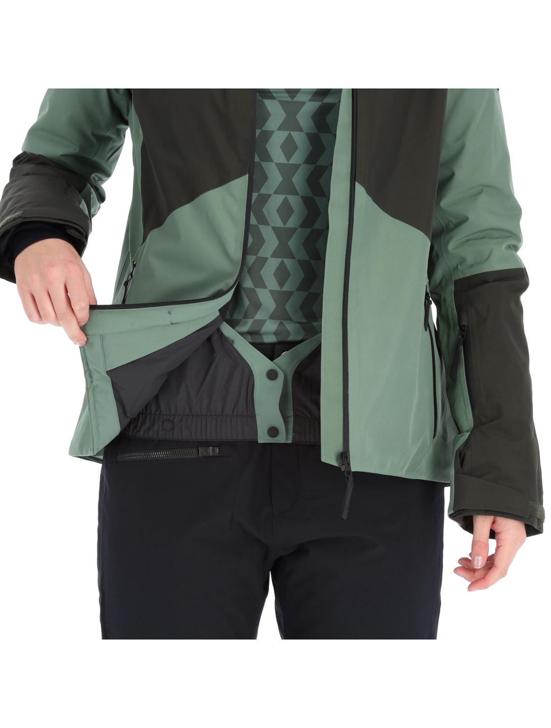 Peak Performance, Anima Gtx chaqueta de esquí mujeres fells view verde