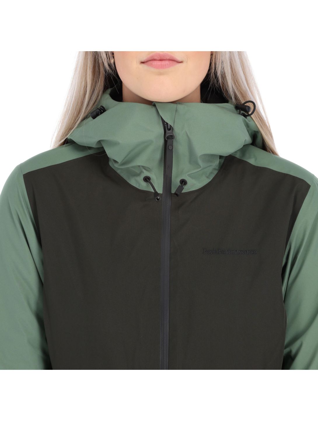 Peak Performance, Anima Gtx chaqueta de esquí mujeres fells view verde