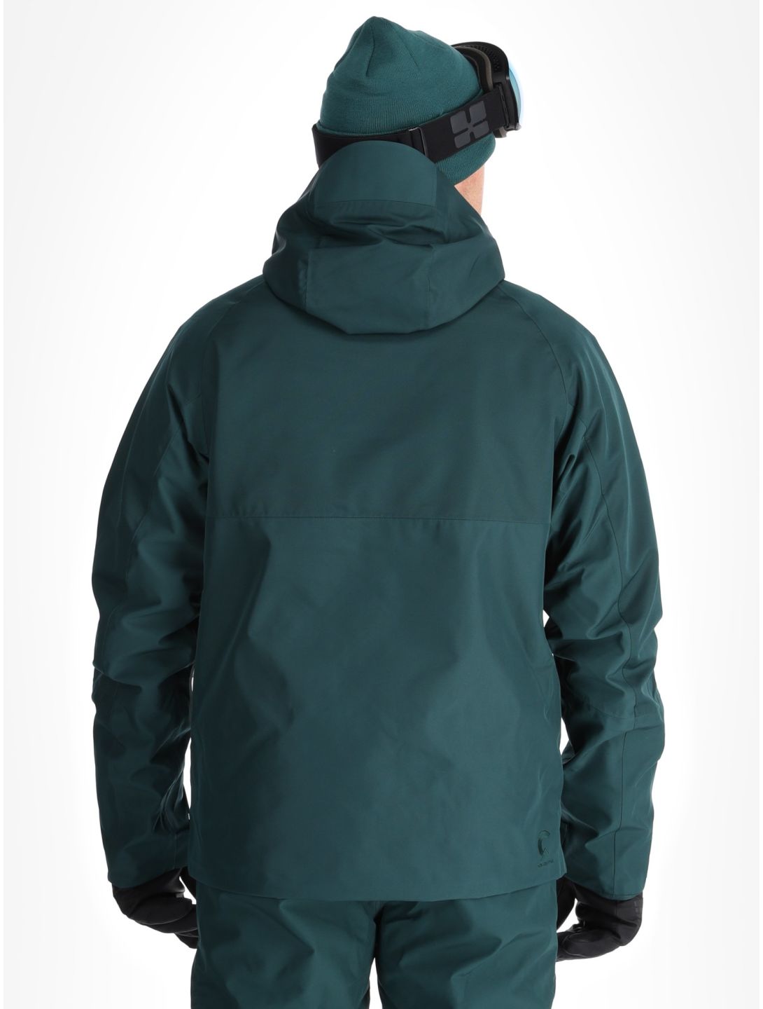 Picture, Goods chaqueta de esquí hombres Ponderosa Pine verde 