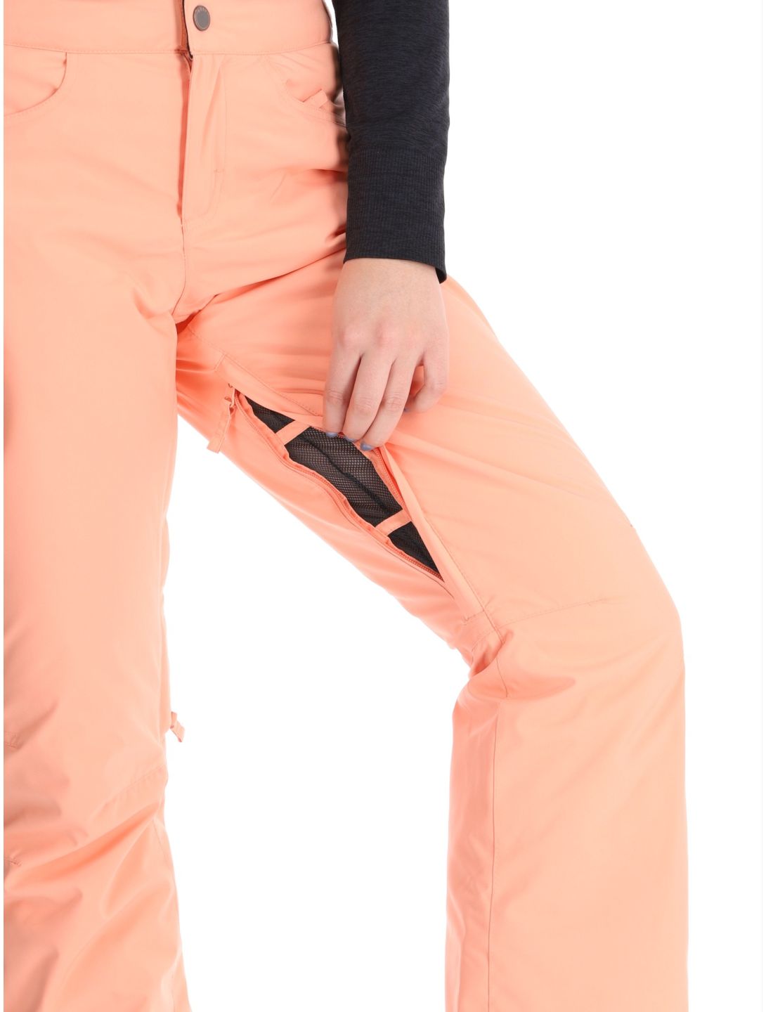 Roxy, Backyard pantalones de esquí mujeres Peach Pink rosa 