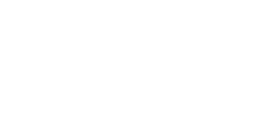 Rossignol Logo